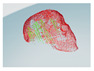 Figure 44