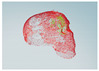 Figure 46