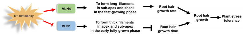 Figure 8