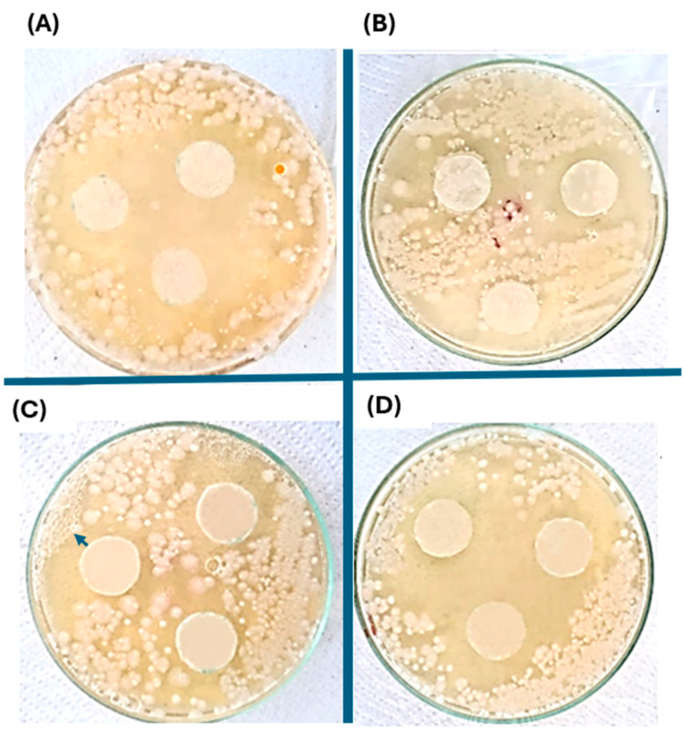 Figure 10