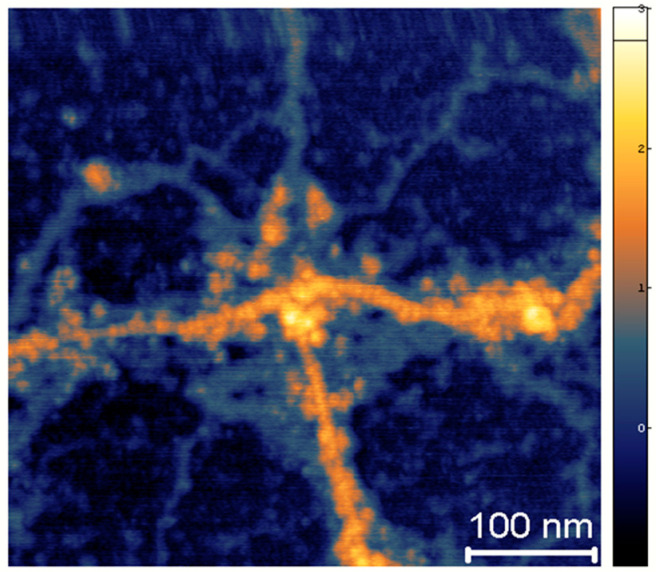 Figure 6