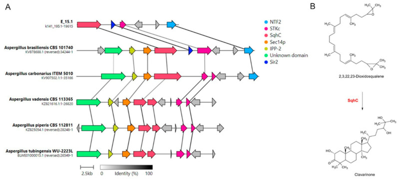 Figure 10