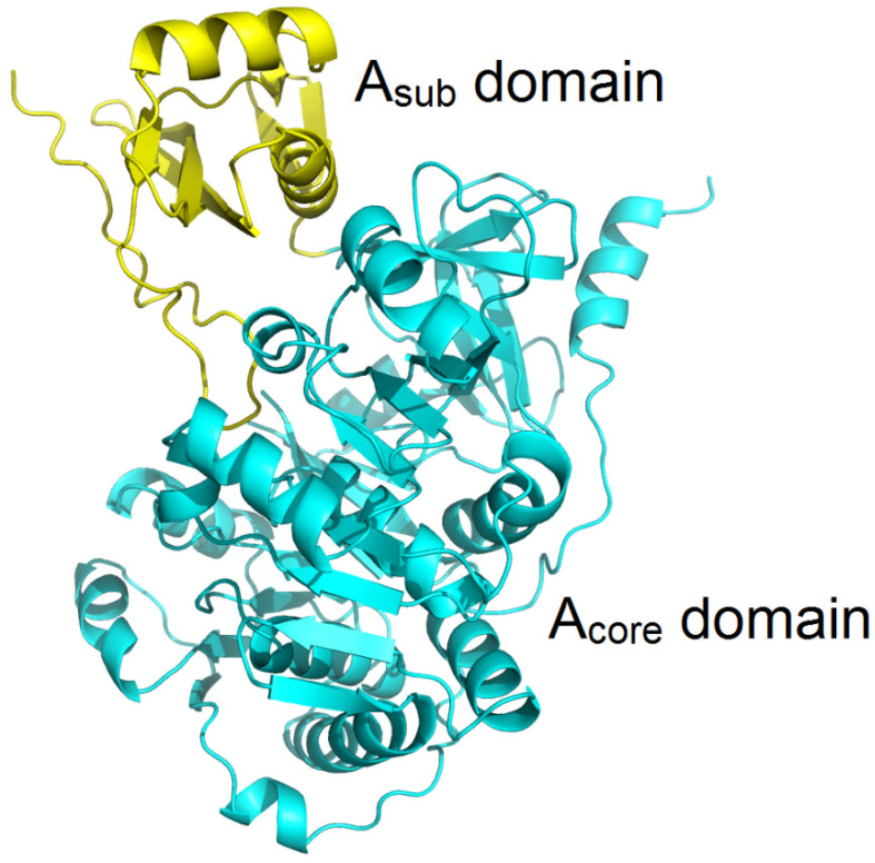 Figure 5
