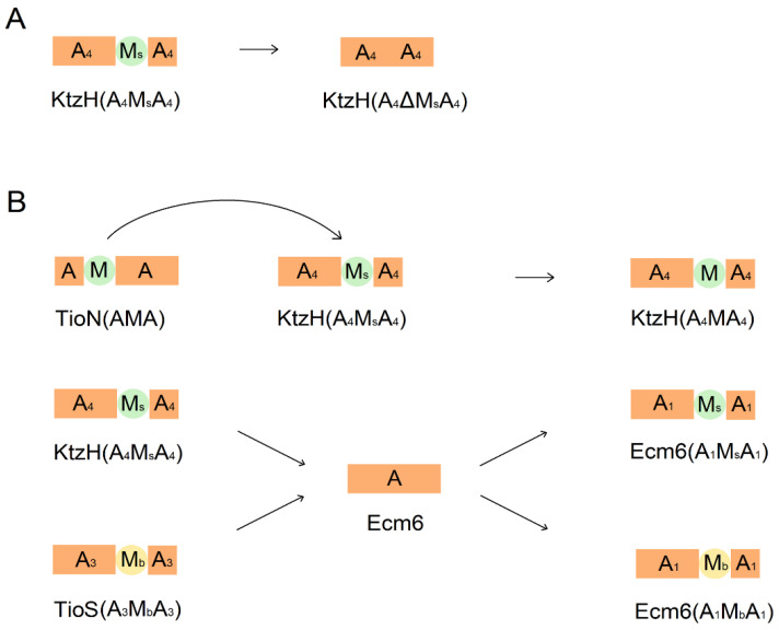 Figure 7