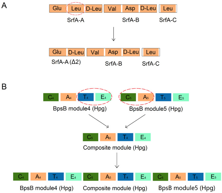 Figure 9