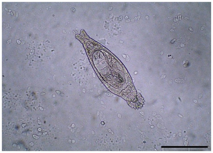 Figure 6