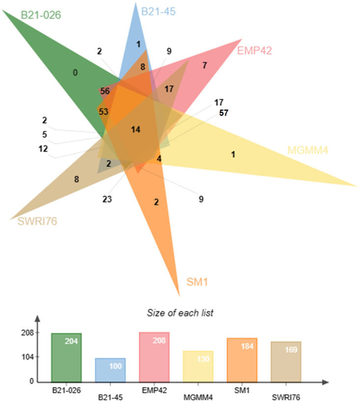Figure 5