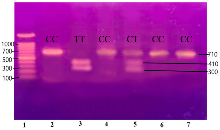 Figure 5