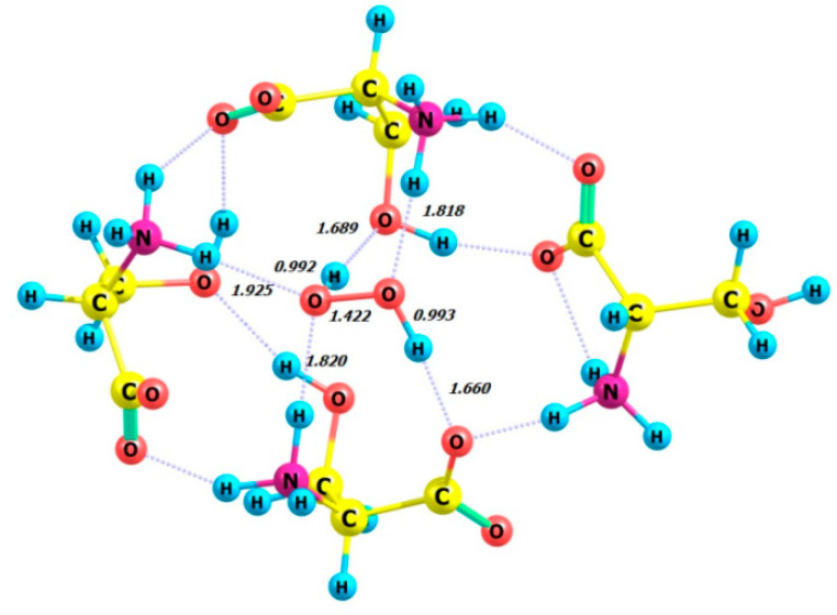 Figure 13