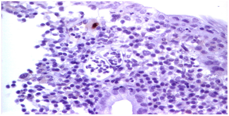 Figure 9
