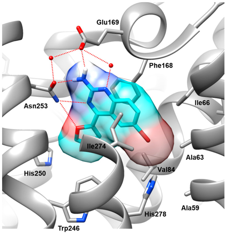 Figure 2