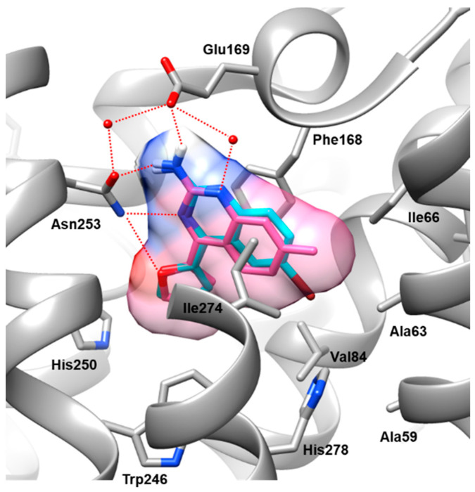 Figure 3