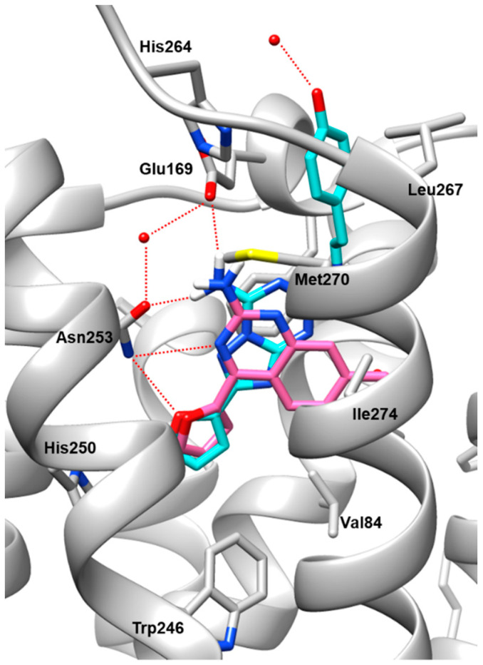 Figure 4