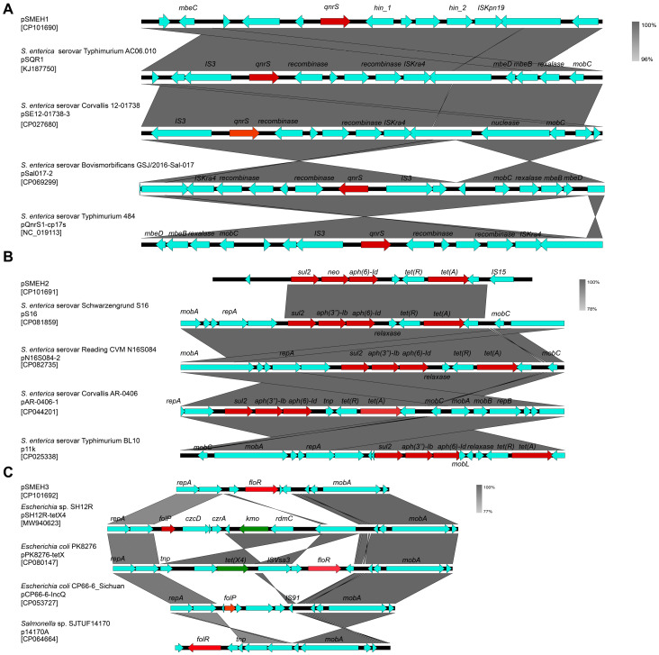 Figure 9