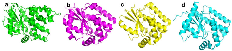 Figure 2
