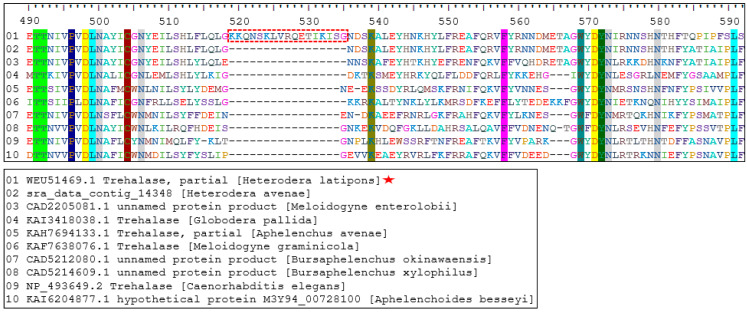 Figure 5