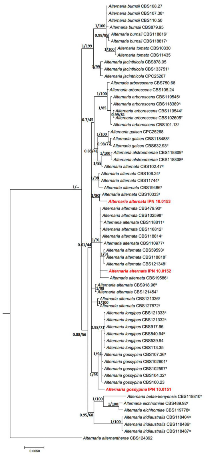 Figure 2