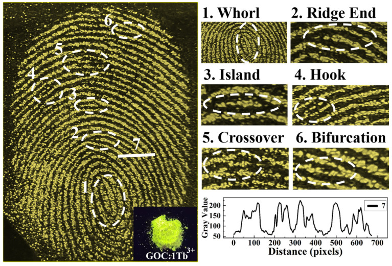 Figure 11