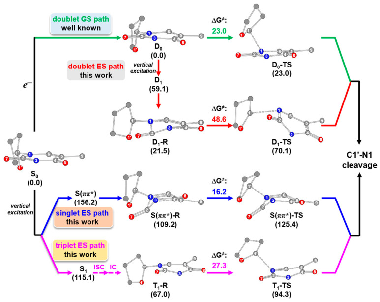 Figure 12