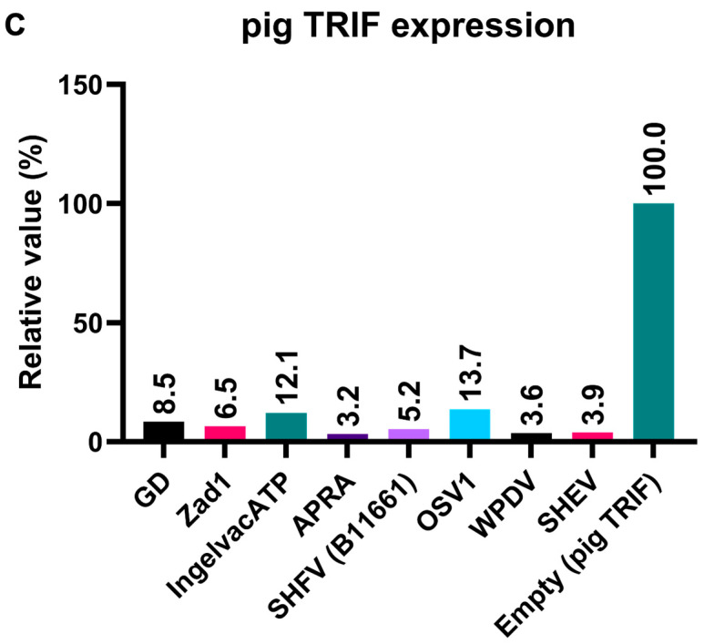 Figure 12