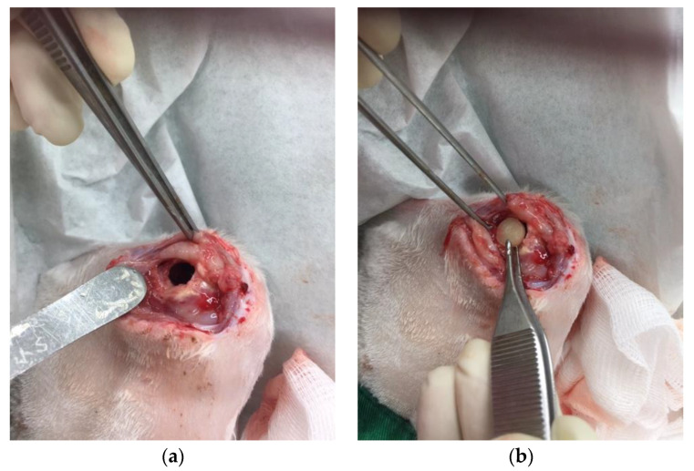 Figure 7