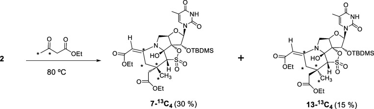 Scheme 3