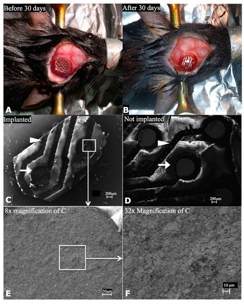 Figure 15