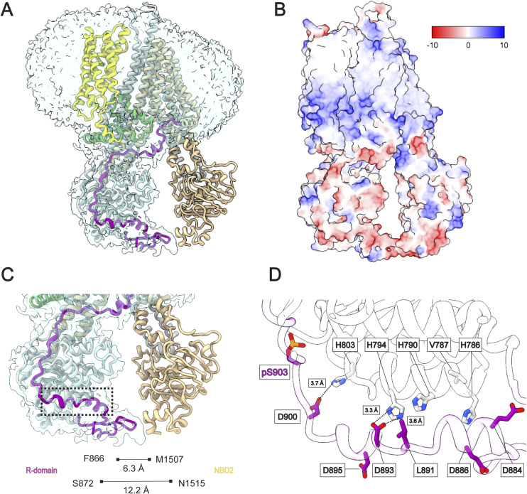 Figure 10