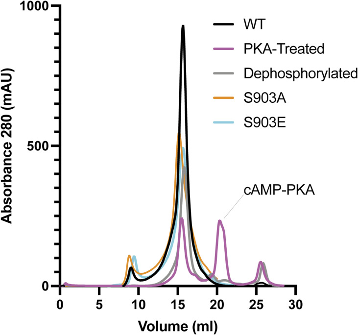 Figure 13