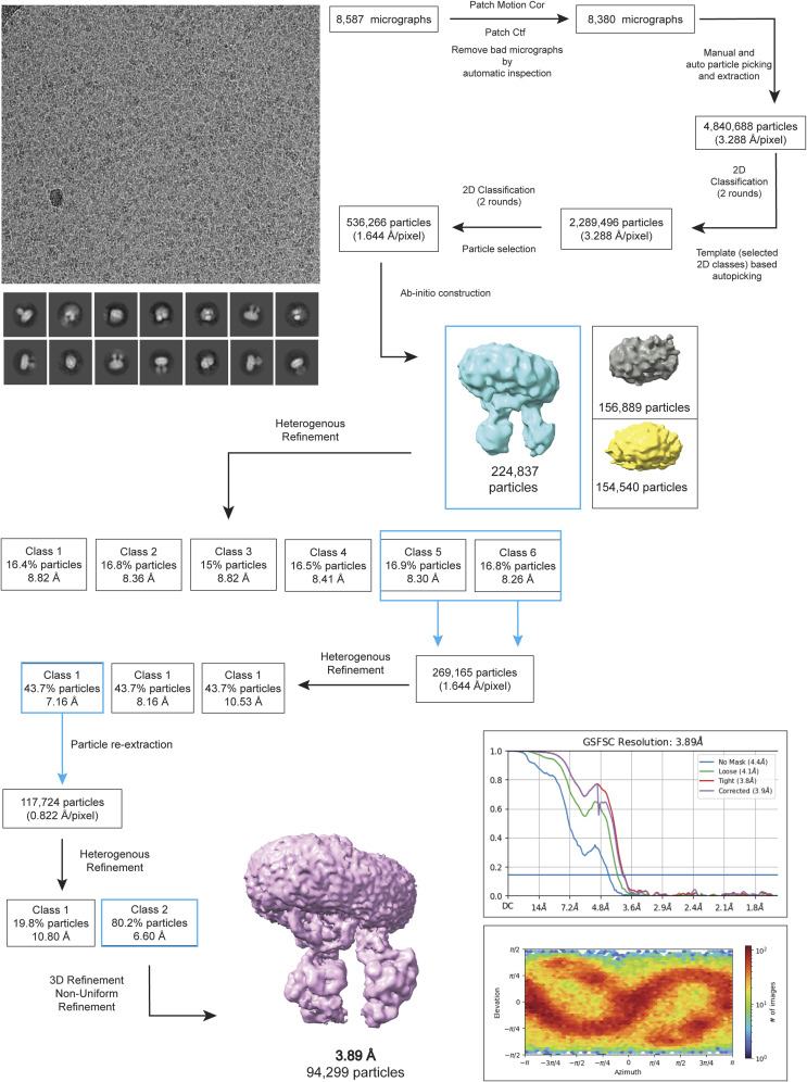 Figure 14