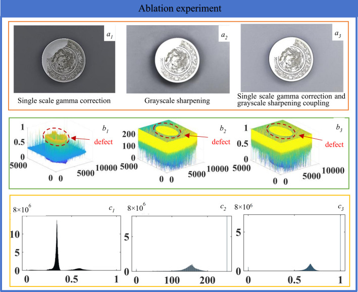 Figure 21