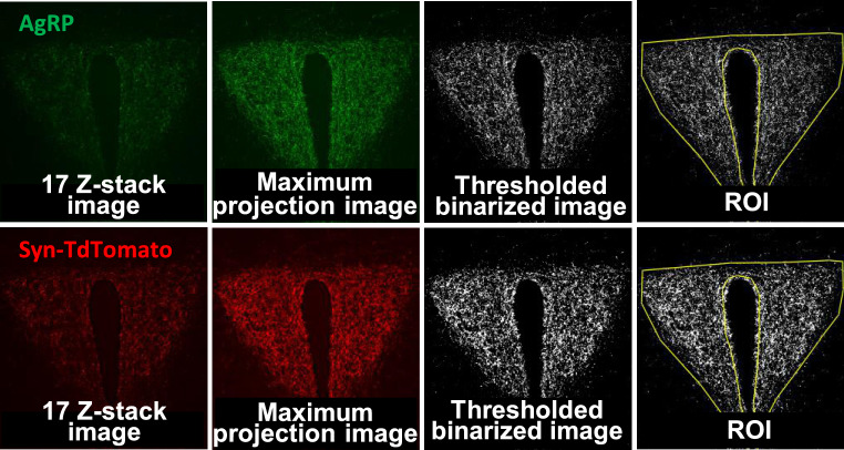 Figure 5