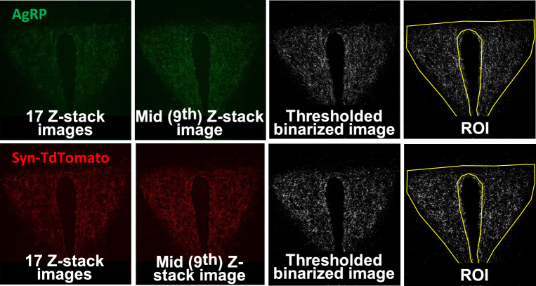 Figure 6