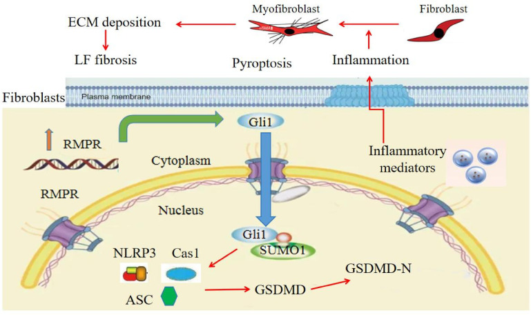 Figure 6