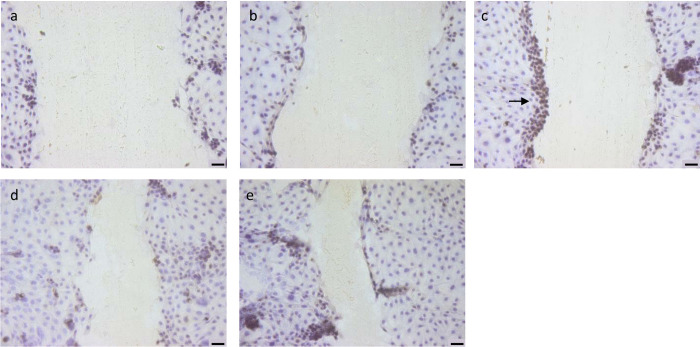 Fig 5