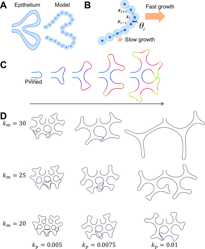 Fig 3