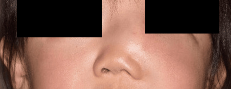 Figure 8