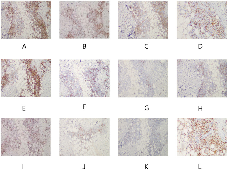 Figure 5