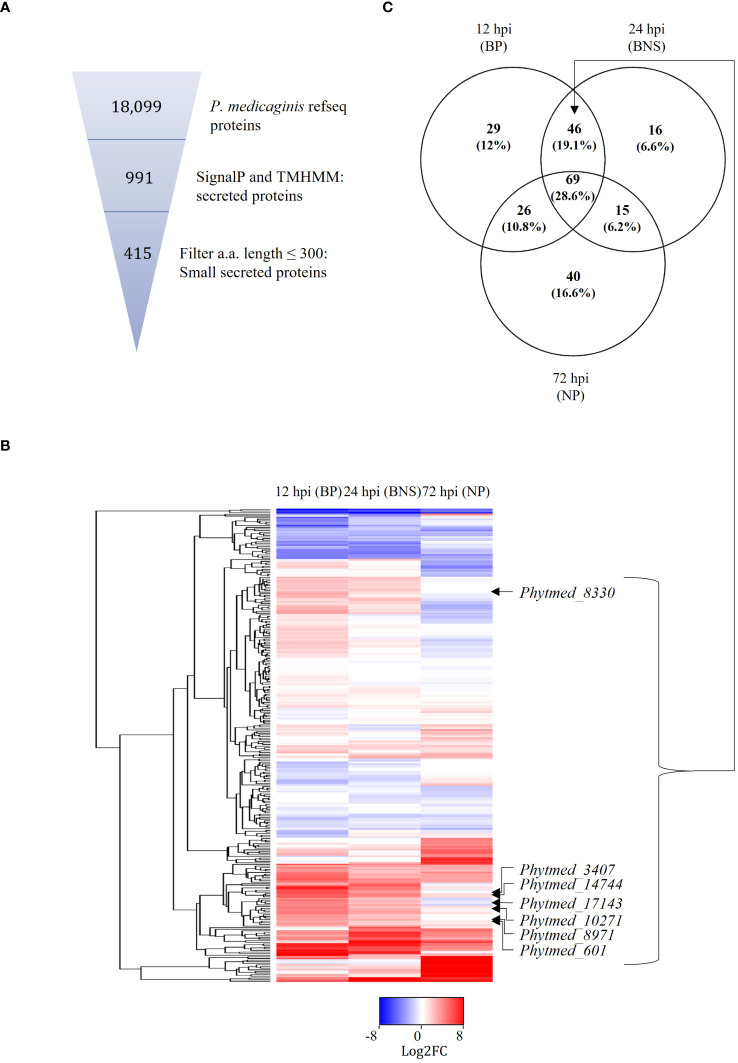 Figure 2