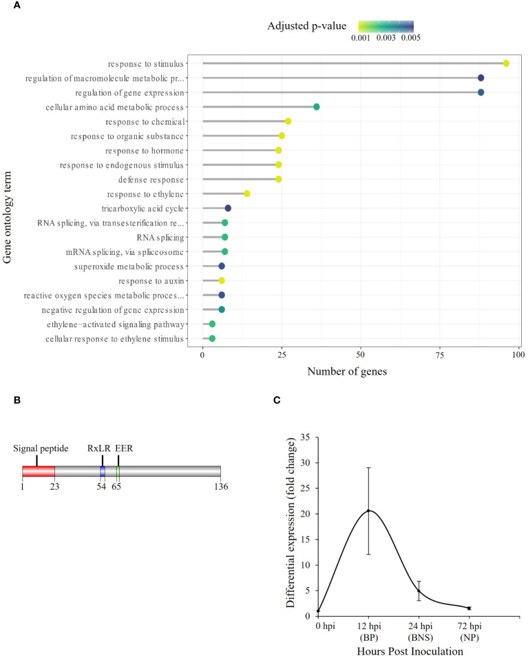 Figure 3