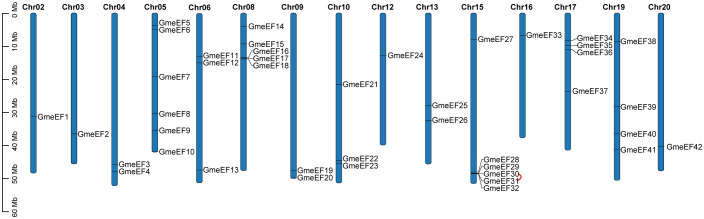 Figure 3