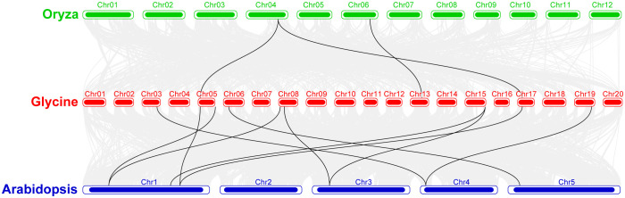 Figure 6