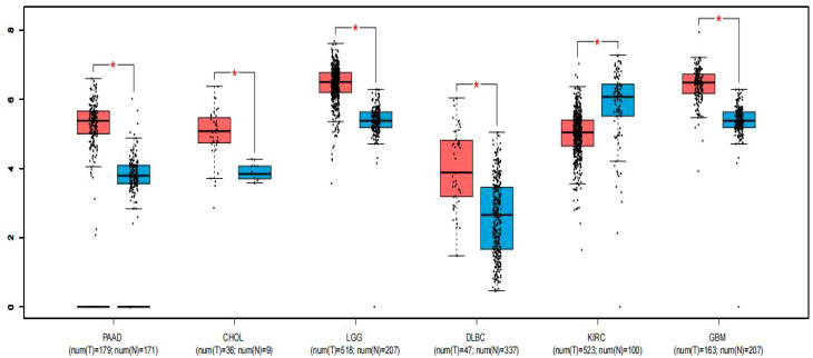 Figure 4