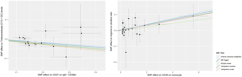 Figure 4