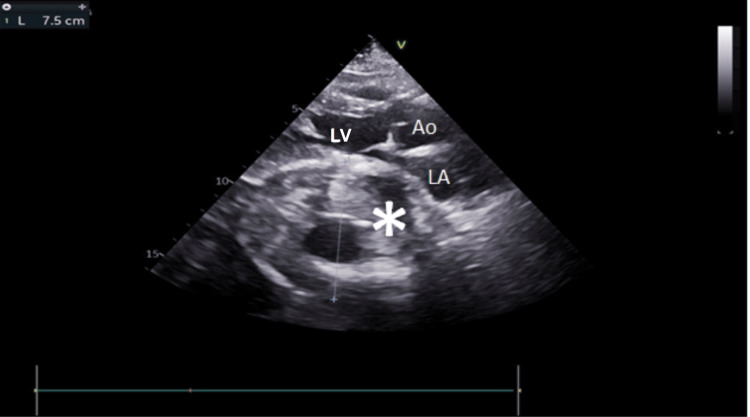 Figure 7