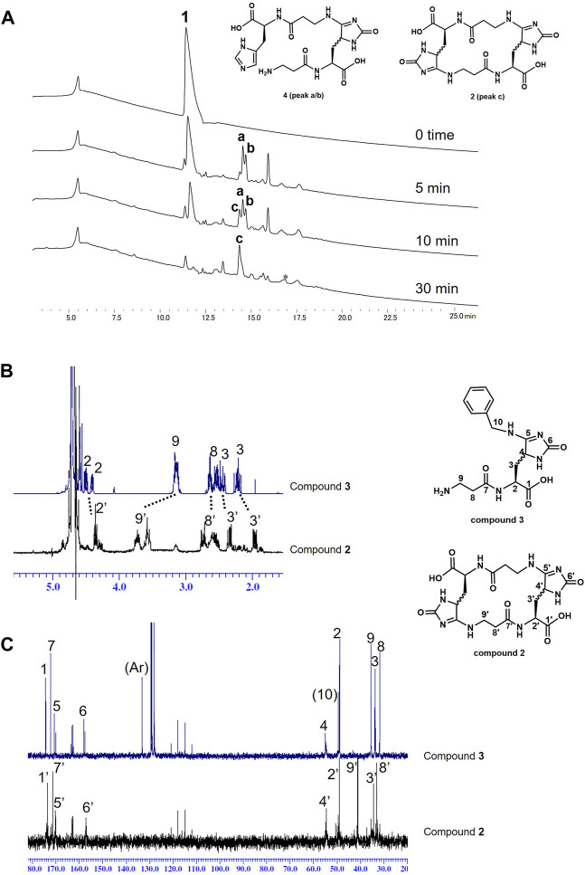 FIGURE 3