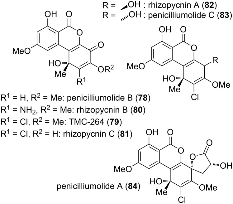 Figure 20