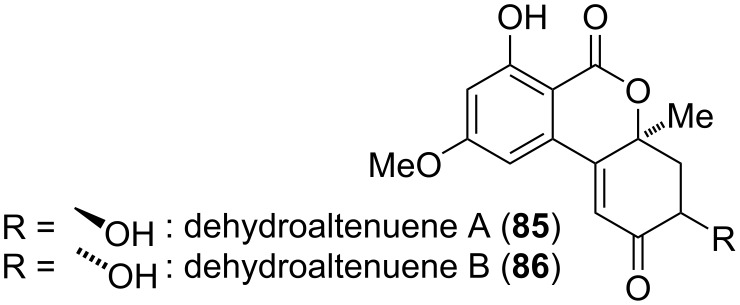 Figure 21
