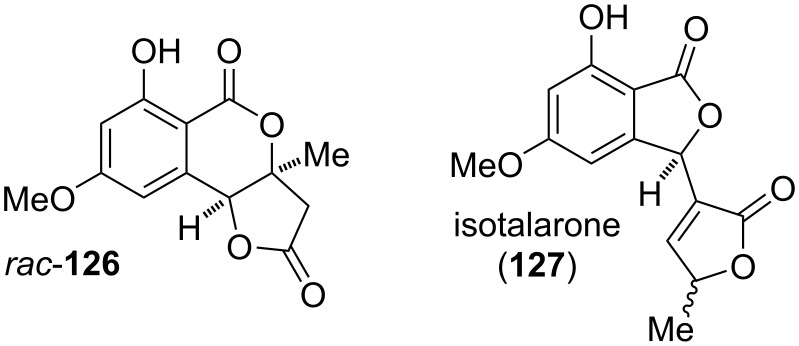 Figure 28
