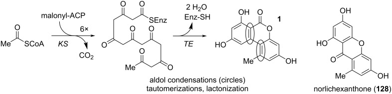 Scheme 2